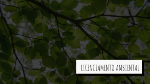 Licenciamento ambiental